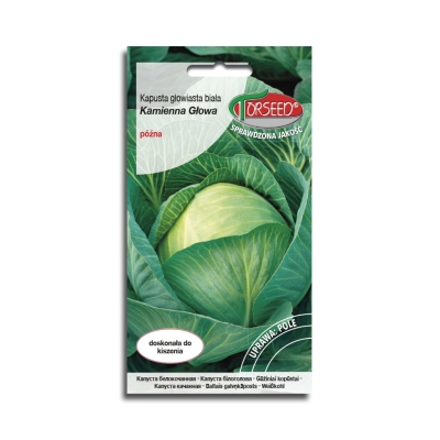 Kapusta Głowiasta Biała Kamienna Głowa nasiona